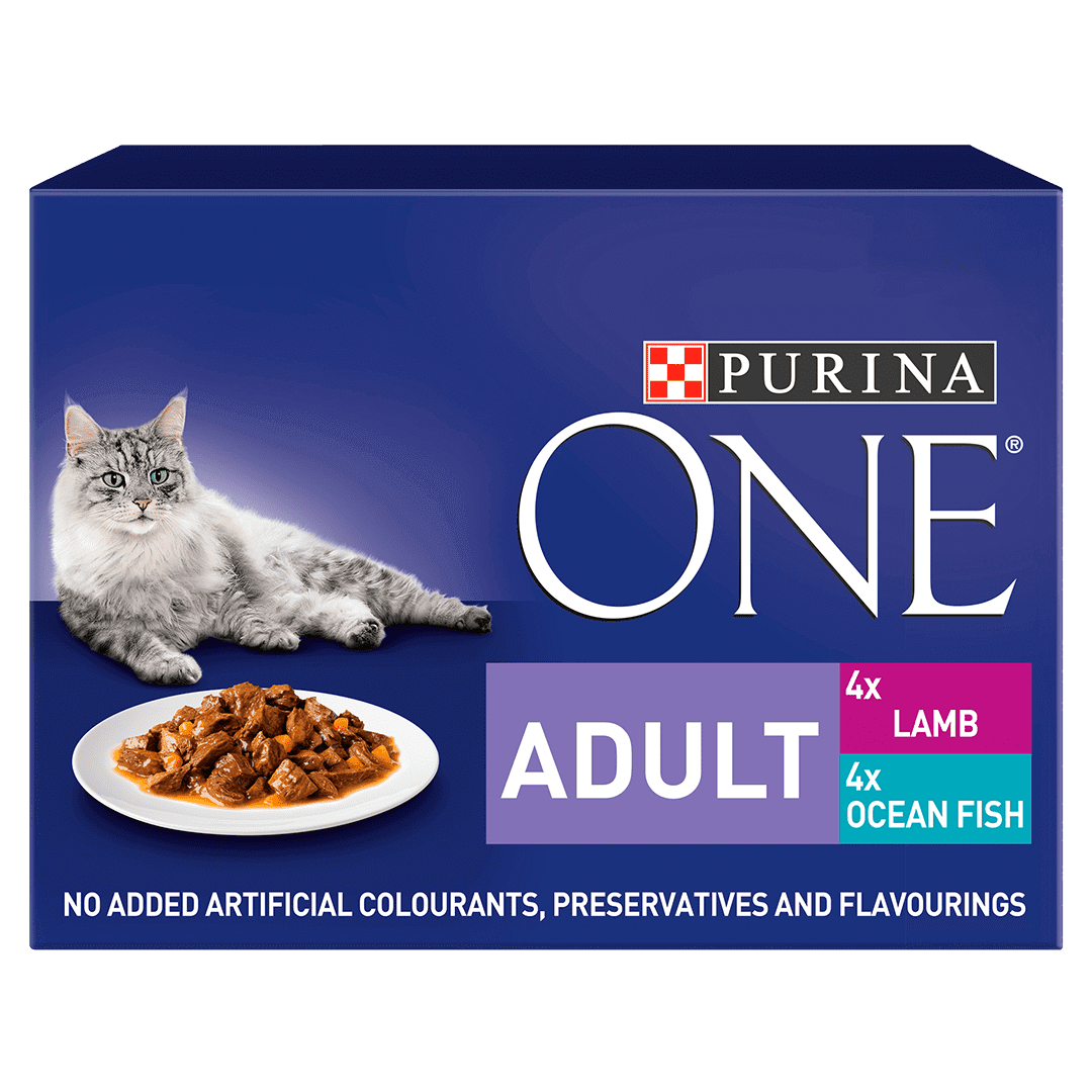 PURINA ONE® Mini Fillets Ocean Fish Cat Food Purina